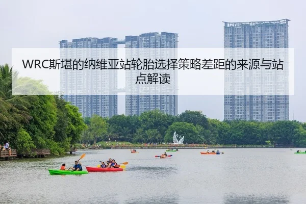 WRC斯堪的纳维亚站轮胎选择策略差距的来源与站点解读