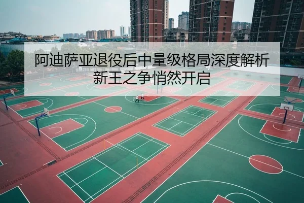 阿迪萨亚退役后中量级格局深度解析 新王之争悄然开启
